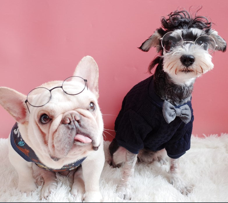 Round Pet Sunglasses